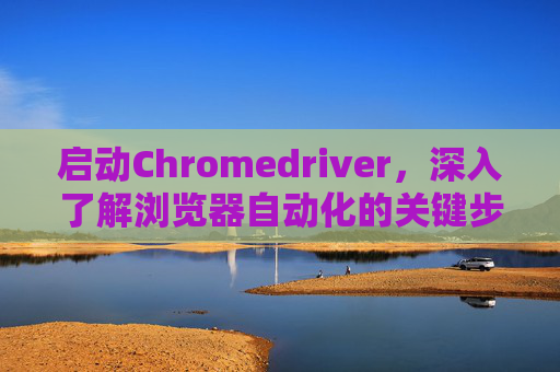 启动Chromedriver，深入了解浏览器自动化的关键步骤